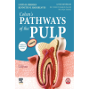 CUHENS PATHWAYS OF THE PULP TÜRKÇE 12.BASKI