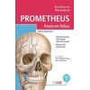 PROMETHEUS ANATOMİ ATLASI CİLT 3