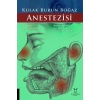 KULAK BURUN BOĞAZ ANESTEZİSİ