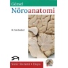 GÖRSEL NÖROANATOMİ
