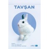 TAVŞAN