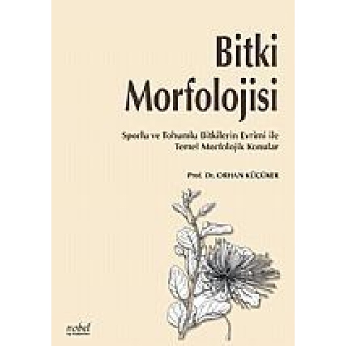 BİTKİ MORFOLOJİSİ