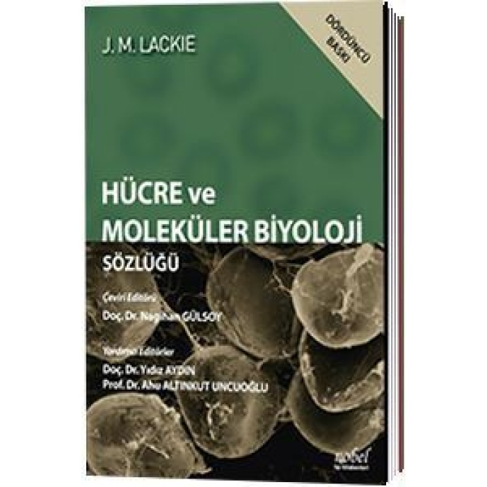 HÜCRE VE MOLEKÜLER BİYOLOJİ SÖZLÜĞÜ