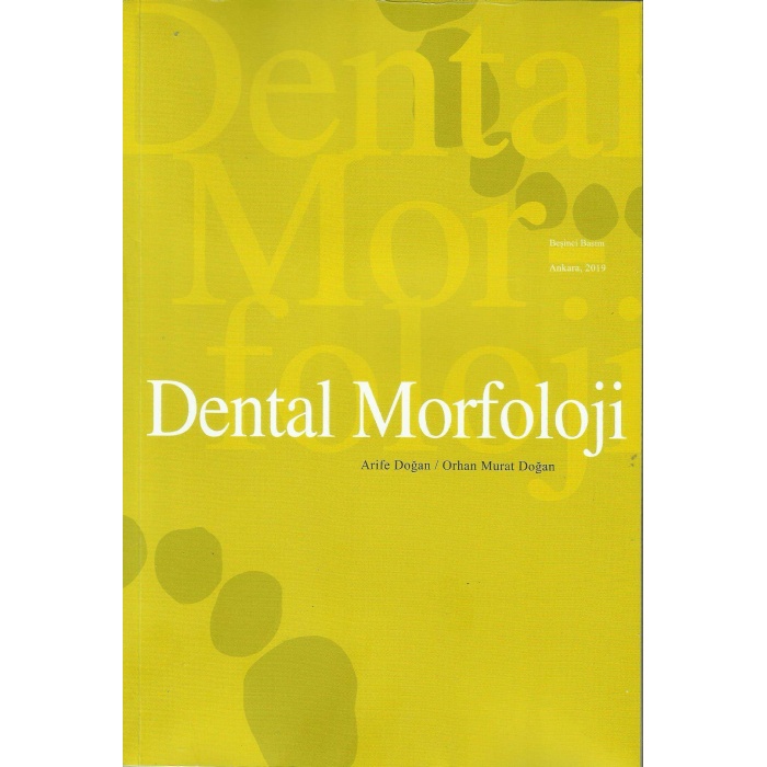 DENTAL MORFOLOJİ