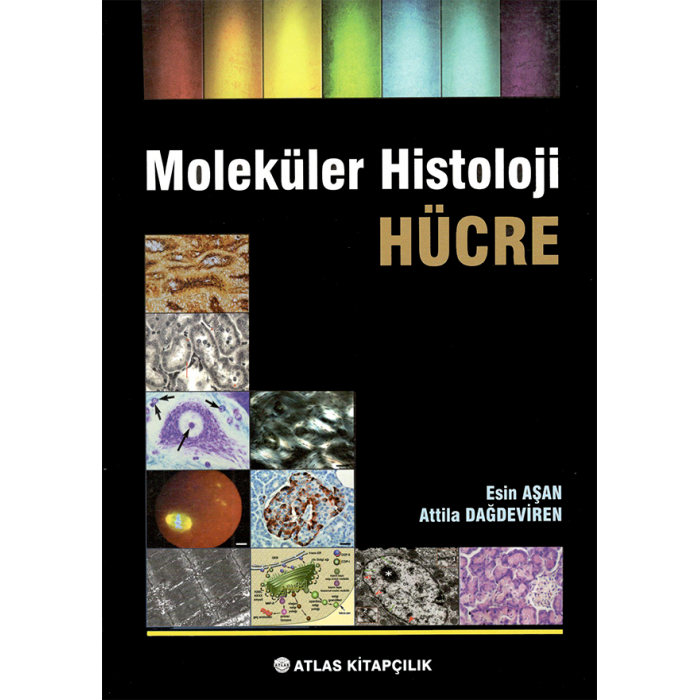 MOLEKÜLER HİSTOLOJİ HÜCRE