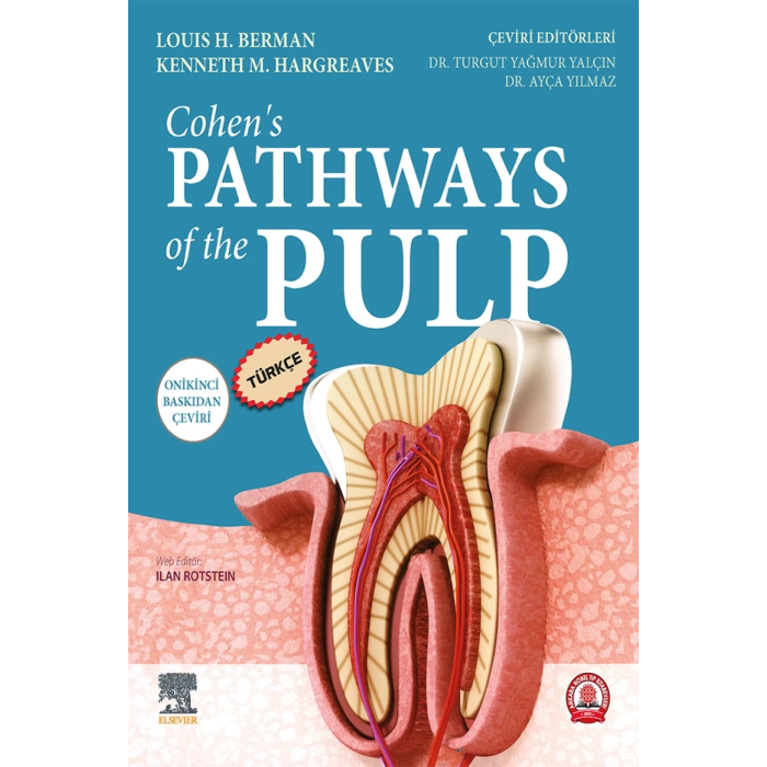 CUHENS PATHWAYS OF THE PULP TÜRKÇE 12.BASKI