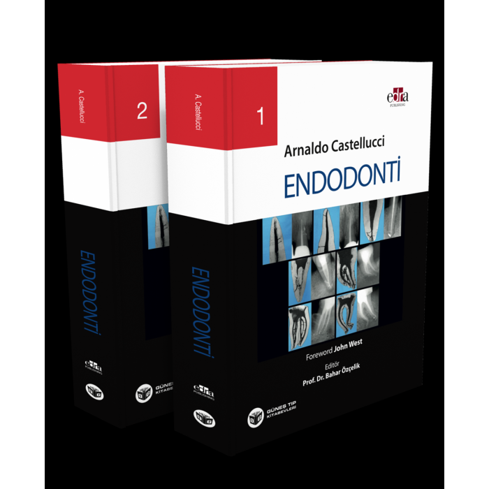 ENDODONTİ 2 CİLT