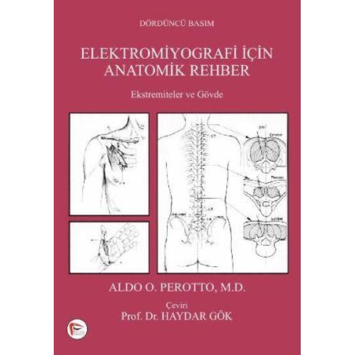 ELEKTROMİYOGRAFİ İÇİN ANATOMİK REHBER