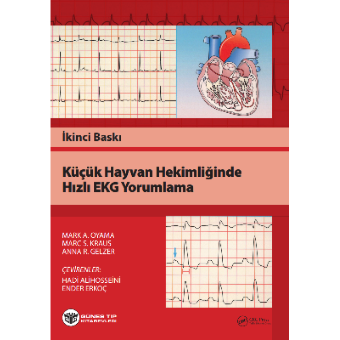 KÜÇÜK HAYVAN HEKİMLİĞİNDE HIZLI EKG YORUMLAMA