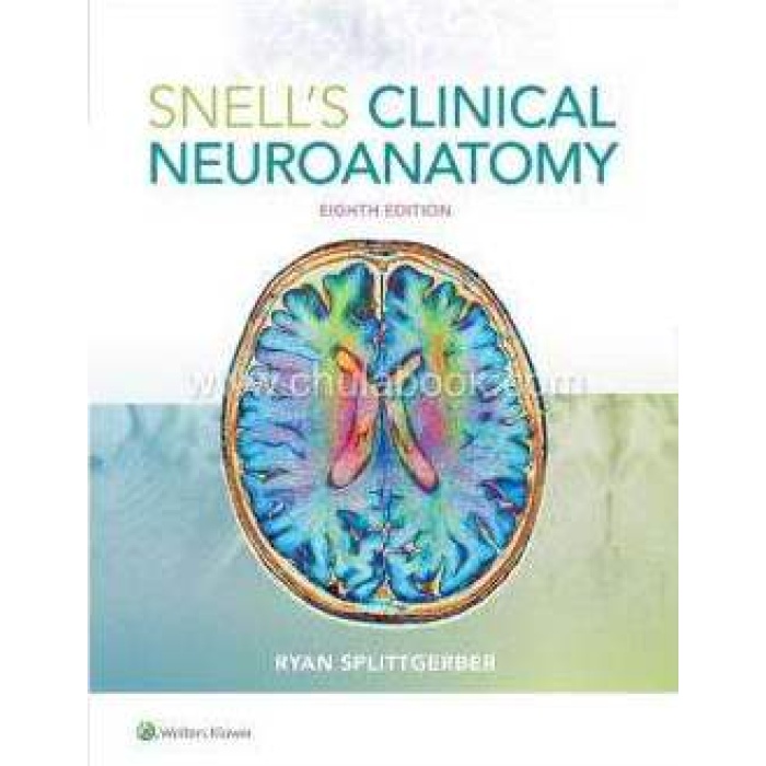 SNELLS CLINICAL NEUROANATOMY EIGHTH EDITION