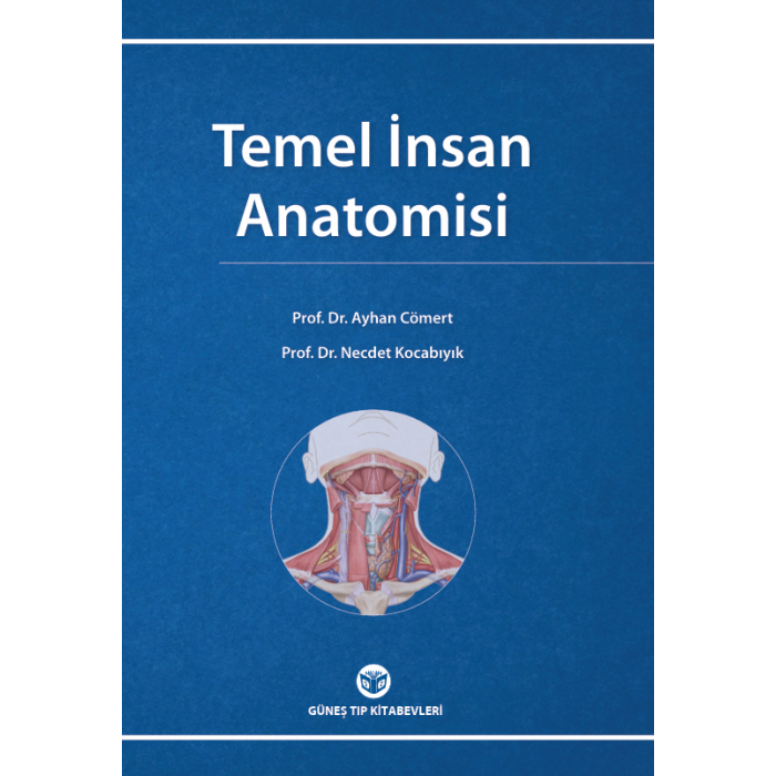 TEMEL İNSAN ANATOMİSİ