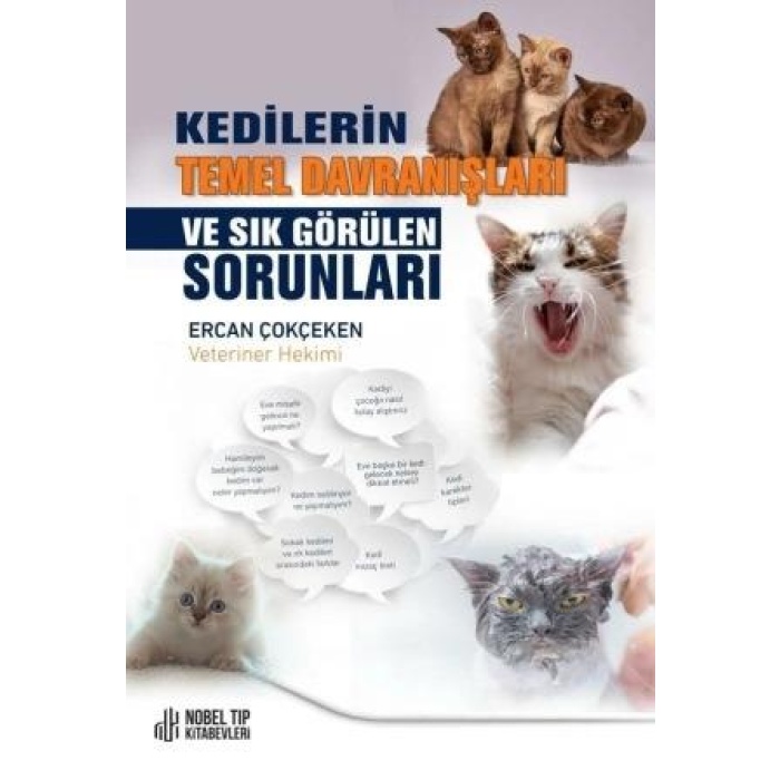 KEDİLERİN TEMEL DAVRANIŞLARI VE SIK GÖRÜLEN SORUNLARI