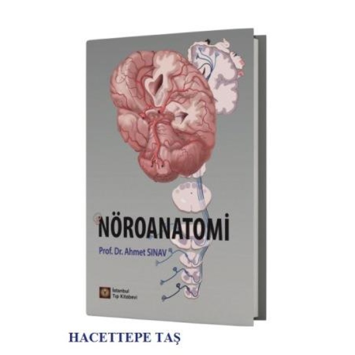 NÖROANATOMİ