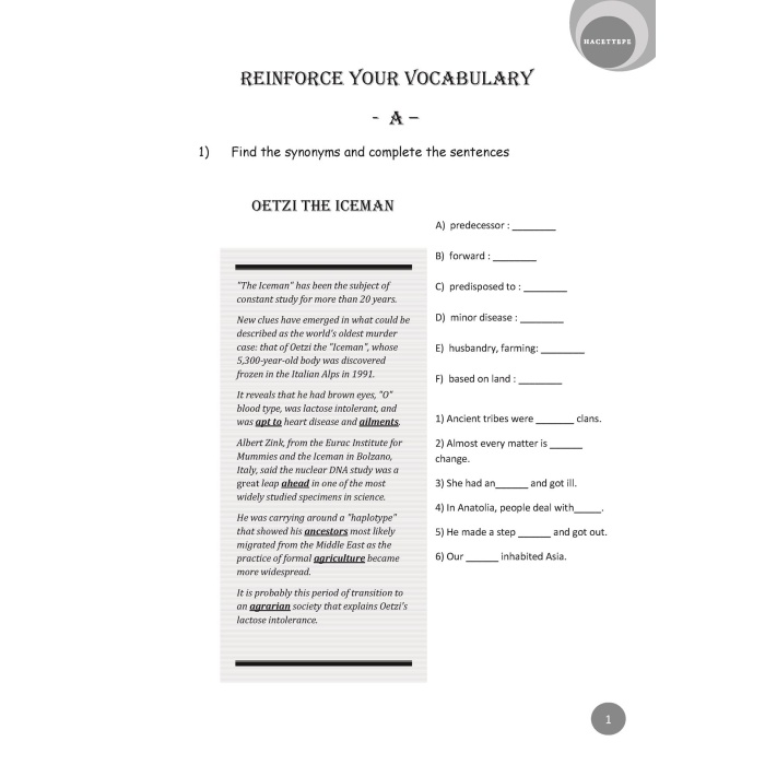 Reinforce Your Vocabulary
