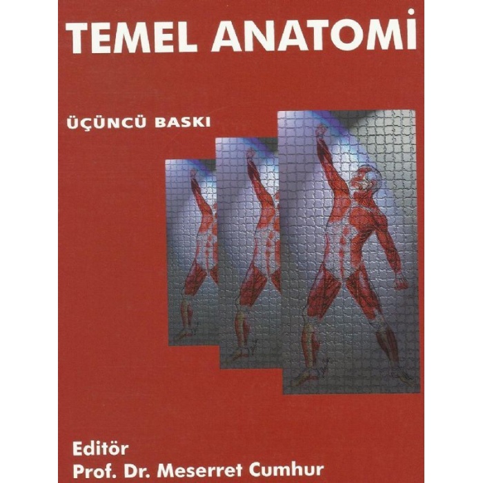 TEMEL ANATOMİ