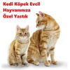 Kedi Köpek Evcil Hayvanınıza Özel Yastık - Kişiye Özel
