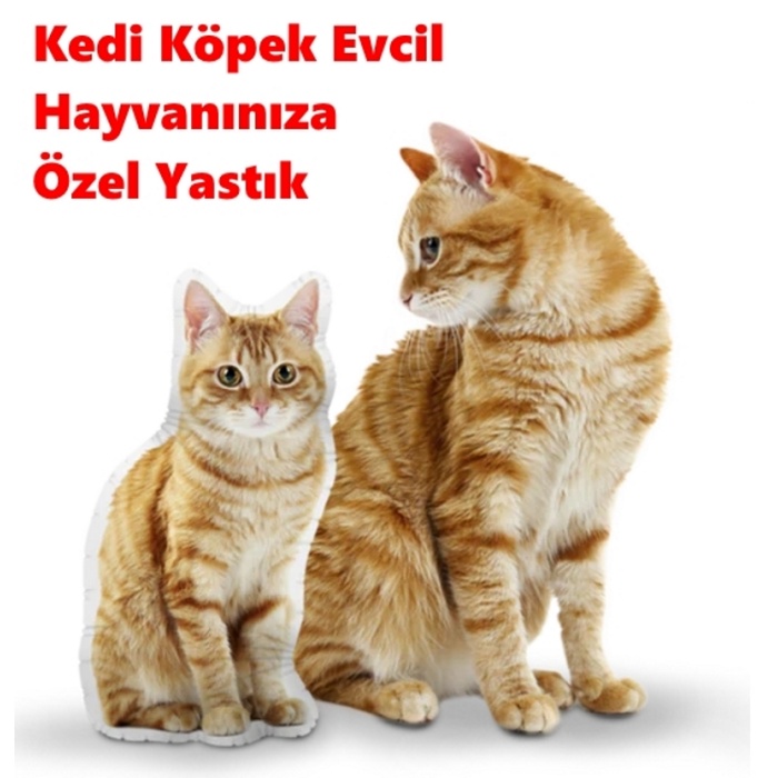 Kedi Köpek Evcil Hayvanınıza Özel Yastık - Kişiye Özel