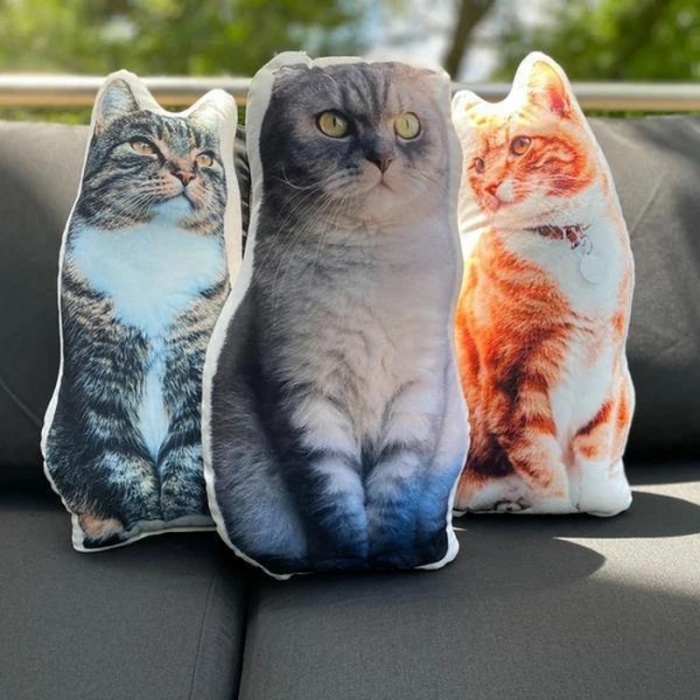 Kedi Köpek Evcil Hayvanınıza Özel Yastık - Kişiye Özel