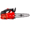 TS2515C EUR5 MOTORLU TESTERE (İNCE PALA)