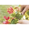 Fiskars 1063325 Bitki Ve Hasat Makasi Egik Uclu Sp160