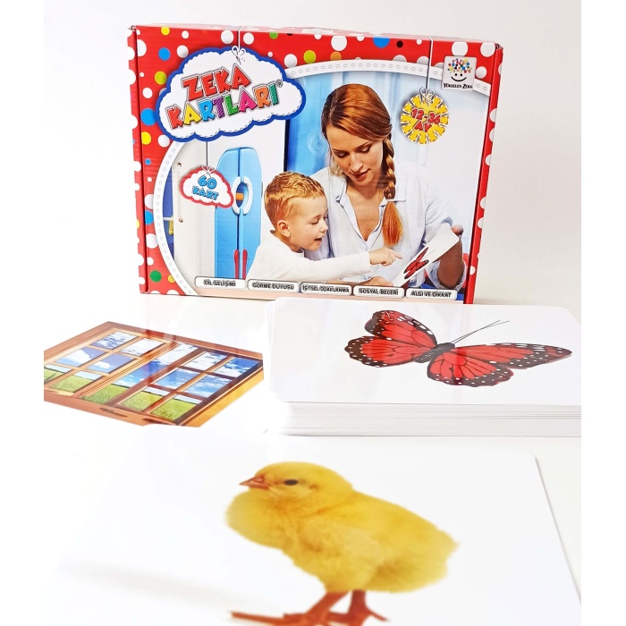 Yükselen Zeka Yayınları Zeka Kartları 12-36 Ay 60 Kart