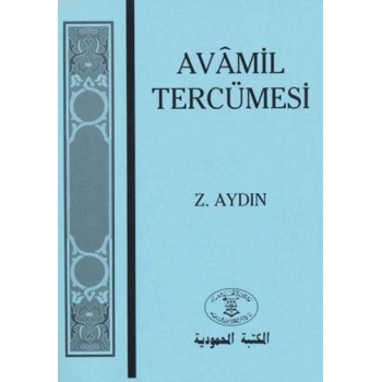 Avâmil Tercümesi; Sarf ve Nahiv