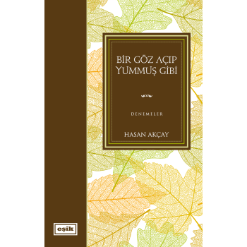 Bir Göz Açıp Yummuş Gibi | Hasan Akçay