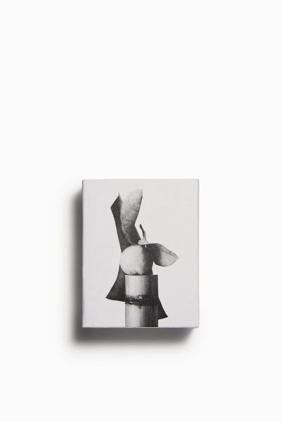 ZARA VIBRANT LEATHER EDP 60 ML İNDİRİMSEHRİ
