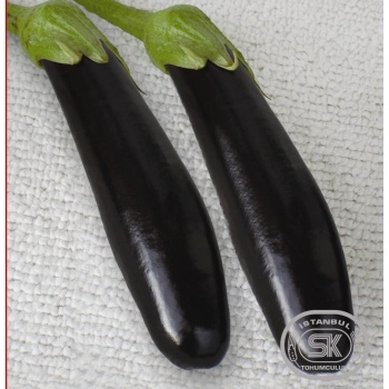 Patlıcan Tohumu Pala 49 10 gr
