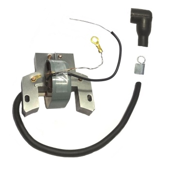 Briggs & Stratton Benzinli Motor Elektronik Bobin 2-4 Hp