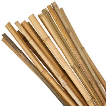 Bambu Bitki Destek Sopası 120 cm 10 Adet