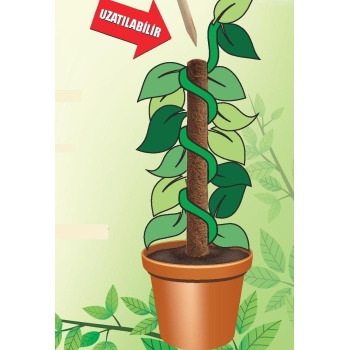 Gardener Koko Sarmaşık Destek Sopası 80 cm