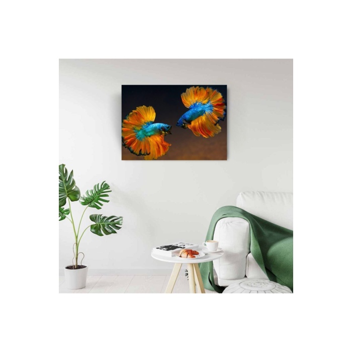 Beta Balıkları Canvas Tablo (50x70)