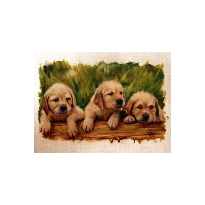 Yavru Köpekler Canvas Tablo (50x70)