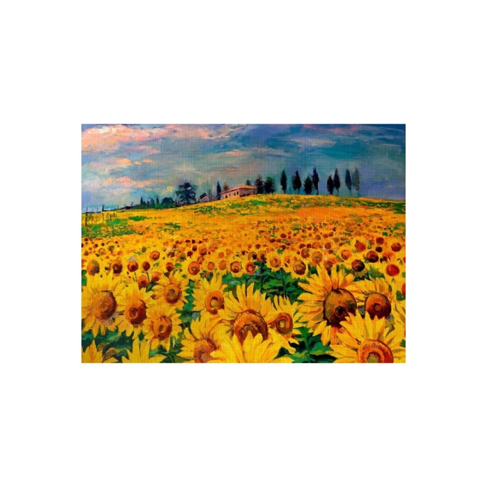 Ayçiçek Tarlası Canvas Tablo (50x70)