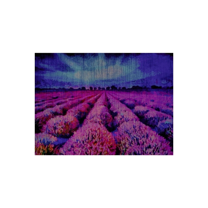 Mor Çiçek Tarlası Canvas Tablo (50x70)