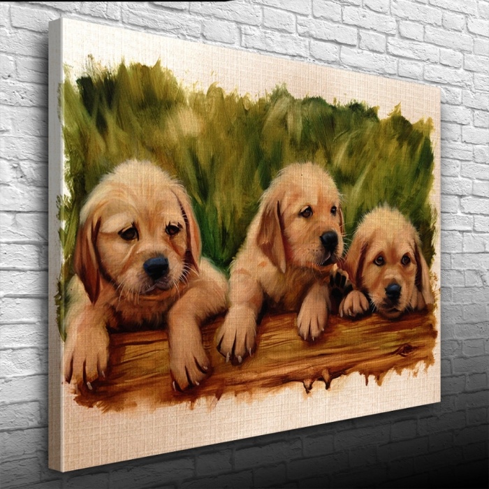 Şirin Yavru Köpekler Yağlıboya Kanvas Tablo 50 x 70