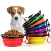 Katlanabilir Kedi Köpek Mama Ve Su Kabı