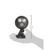 Night Hawk Black Sensörlü Gece Lambası