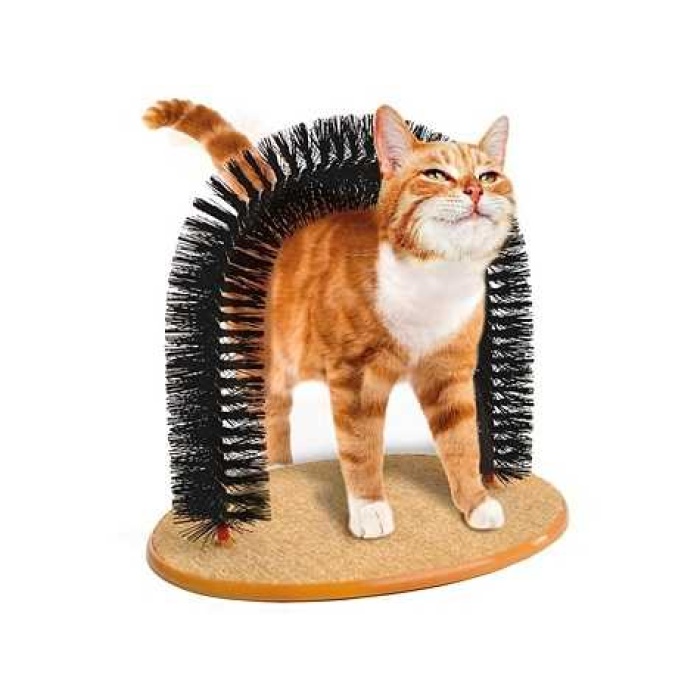 Purrfect Arch Kedi Tırmalama Ve Kaşınma