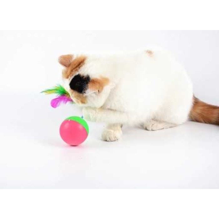 Kedi Oyun Topu Fareli Hacı Yatmaz