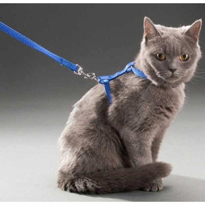 Ayarlanabilir Kedi Tasması 120 Cm (4 Renk)