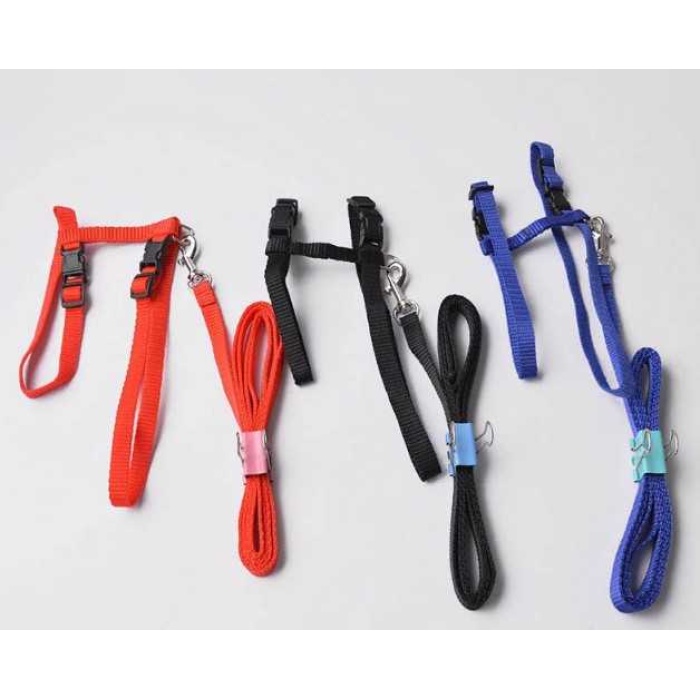 Ayarlanabilir Kedi Tasması 120 Cm (4 Renk)