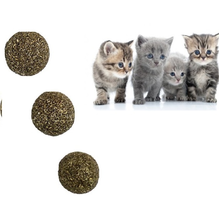 Catnip Topu - Kedi Nanesi Topu 3 Adet 2.5 cm