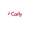 Carly DCY 305 5/8 RAKORLU DRAYER