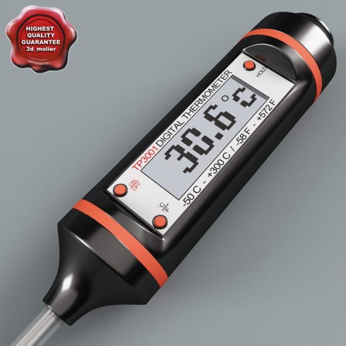 Saplama Termometre WH3001