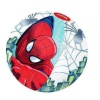 Spider-Man Deniz Topu Bestway 51 Cm - 98002