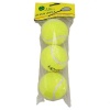 Tenis Topu 3 lü