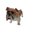 Soft Köpekler - Amerikan Bulldog Cinsi Köpek - E013
