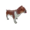 Soft Köpekler - Amerikan Bulldog Cinsi Köpek - E013